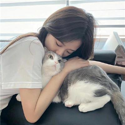 探秘企鹅王国